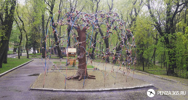 дерево счастья в белинском парке