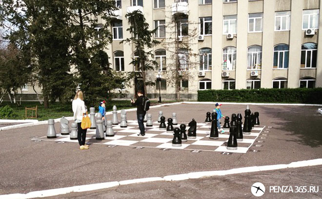 арт обьект шахматы пенза
